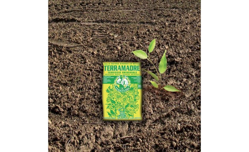 Terriccio universale Terriflora Terramadre 20 litri-Per piante verdi