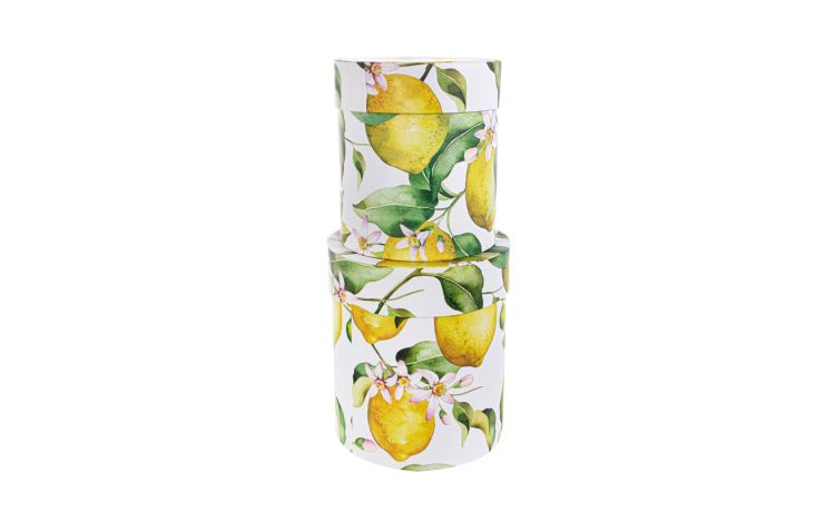 Set 2 Scatole Piccole Yellow S/M