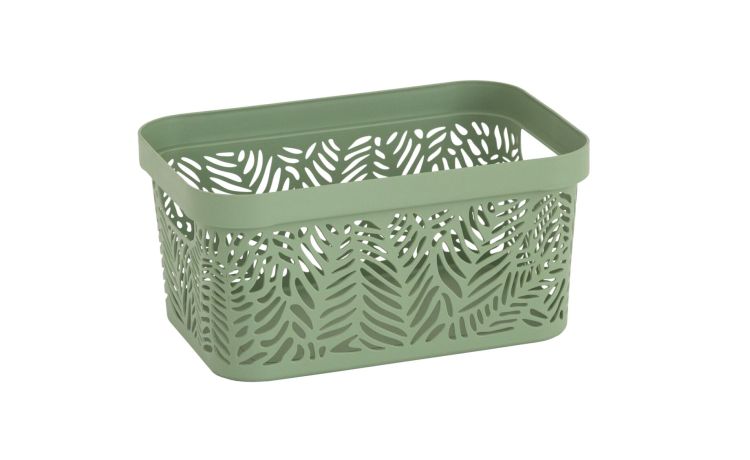 Contenitore jungle 4 litri