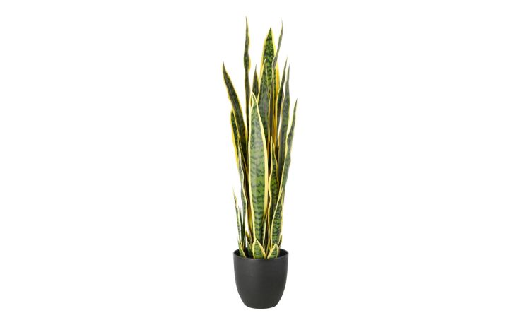 Pianta artificiale con vaso Sanseviera 90 cm